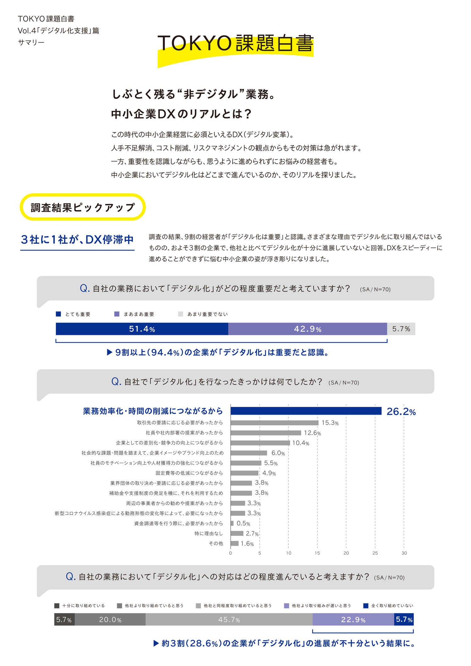 トーキョーをデータで見る：デジタル化支援